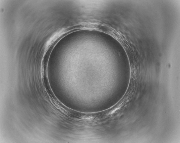 X0000088160294200705151124