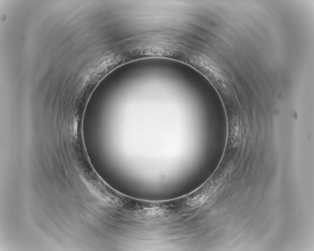 X0000088160310200705151124