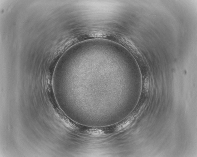X0000088160322200705151124