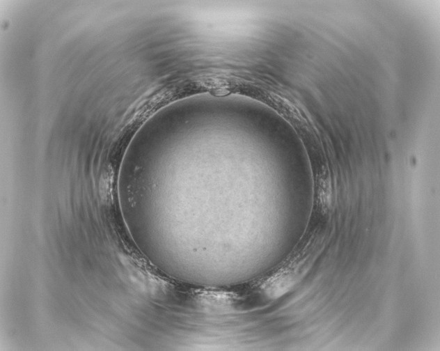 X0000088160332200705151124