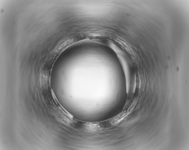X0000088160333200705151124