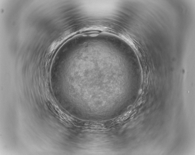 X0000088160337200705151123