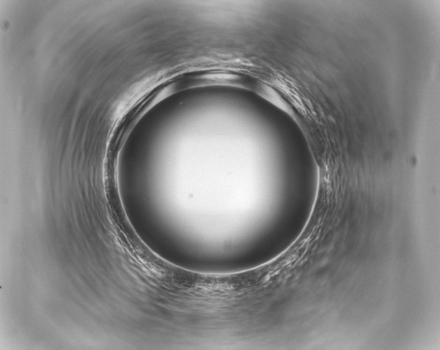 X0000088160340200705151123
