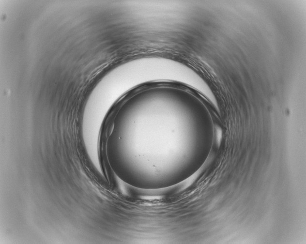X0000088160364200705151123