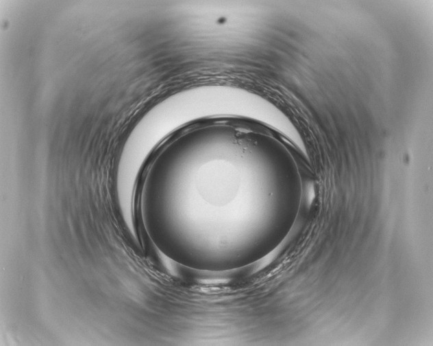 X0000088160372200705151123