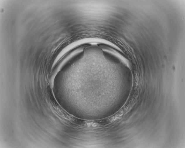 X0000088160376200705151124