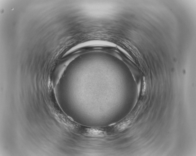 X0000088160380200705151124