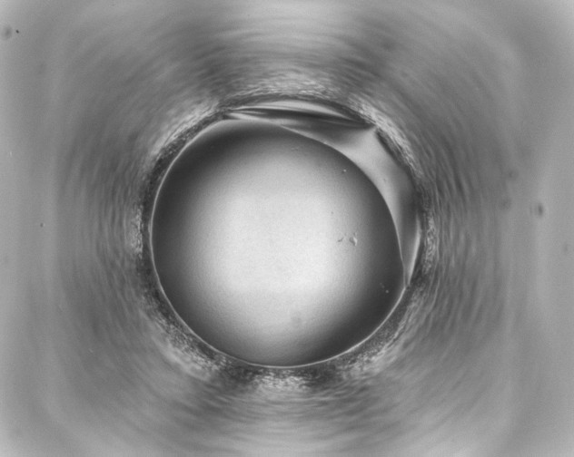 X0000088160403200705151123