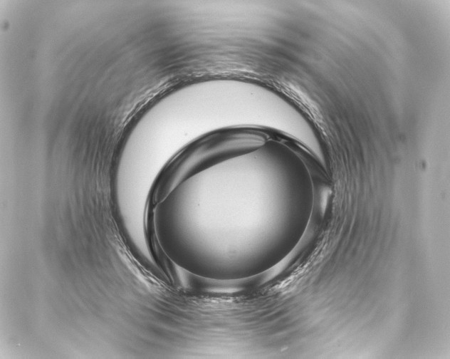 X0000088160405200705151123