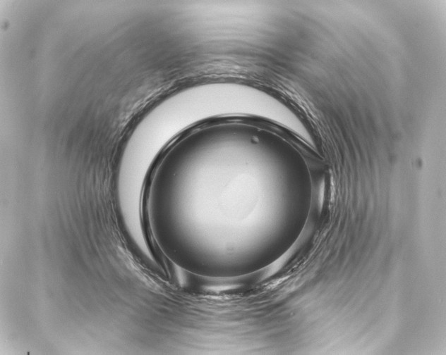 X0000088160411200705151122
