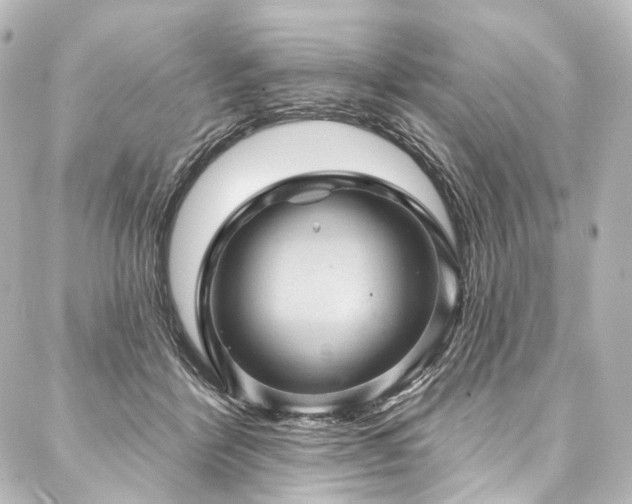X0000088160412200705151122