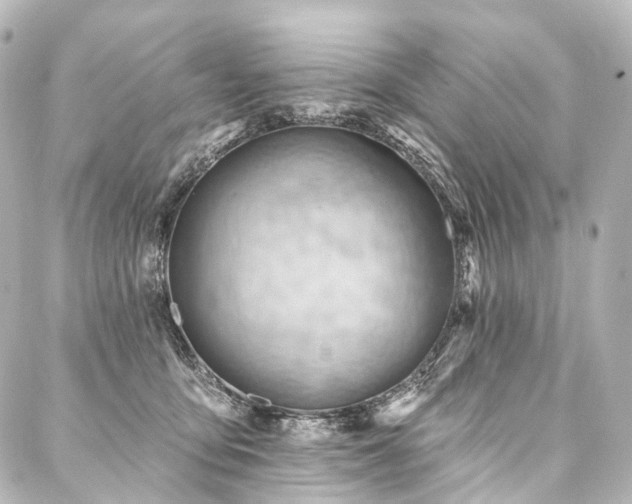 X0000088160419200705151122