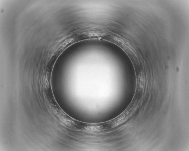 X0000088160422200705151122