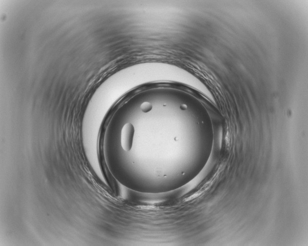 X0000088160425200705151122