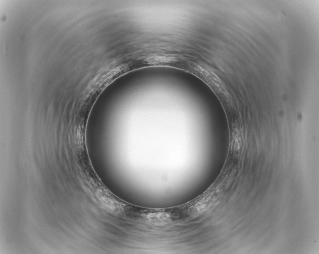 X0000088160426200705151122