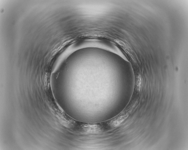 X0000088160428200705151122