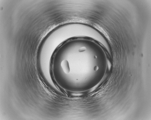 X0000088160436200705151121