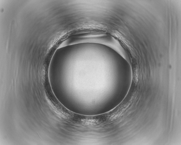 X0000088160448200705151122