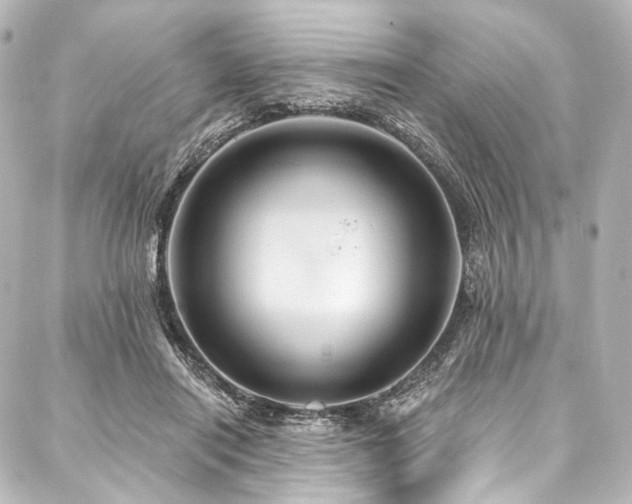 X0000088160454200705151122