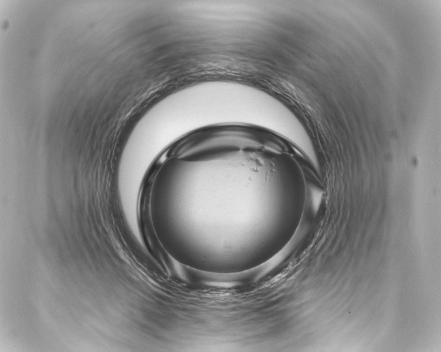 X0000088160456200705151122