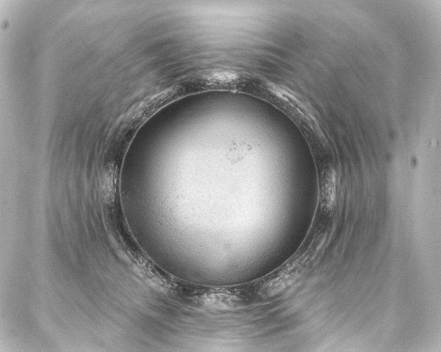 X0000088160468200705151122