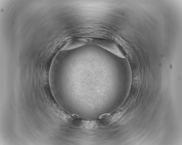 X0000088160469200705151122