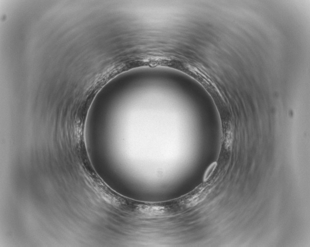 X0000088160476200705151122