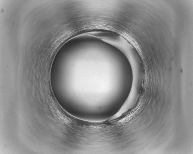 X0000088160481200705151121