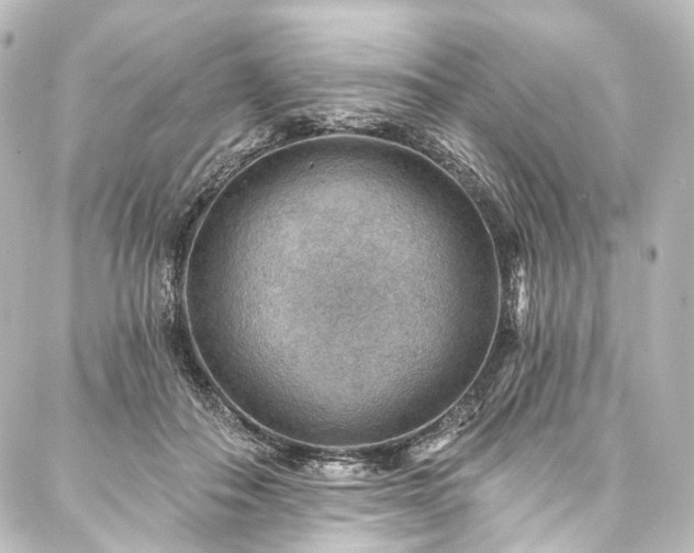 X0000088160506200705151121
