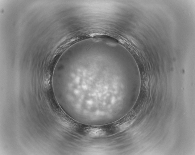 X0000088160507200705151121