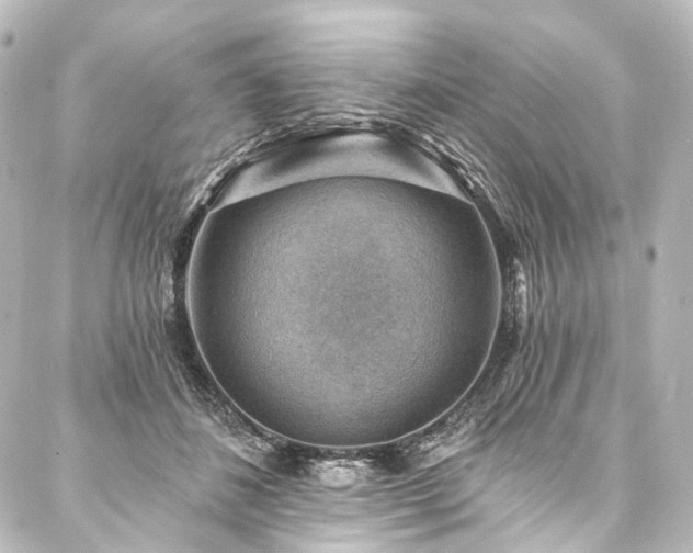 X0000088160508200705151121