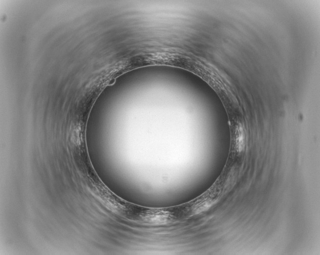 X0000088160514200705151121