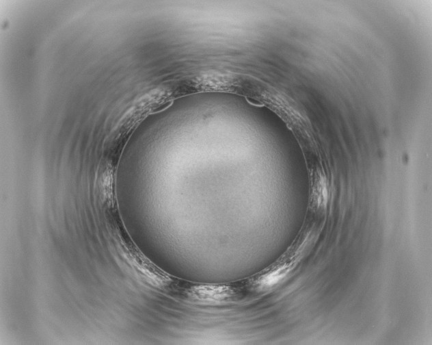 X0000088160526200705151121