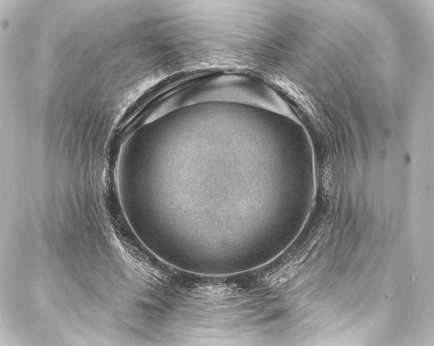 X0000088160540200705151120
