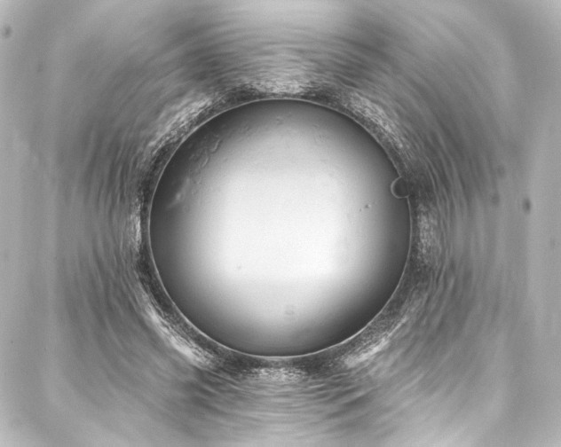 X0000088160541200705151120
