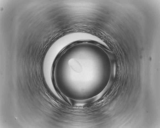 X0000088160562200705151120