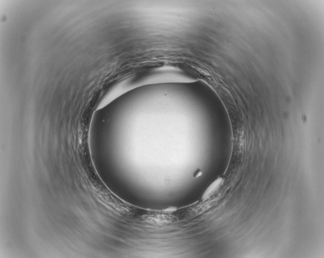 X0000088160567200705151120