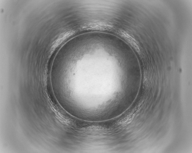 X0000088160578200705151120
