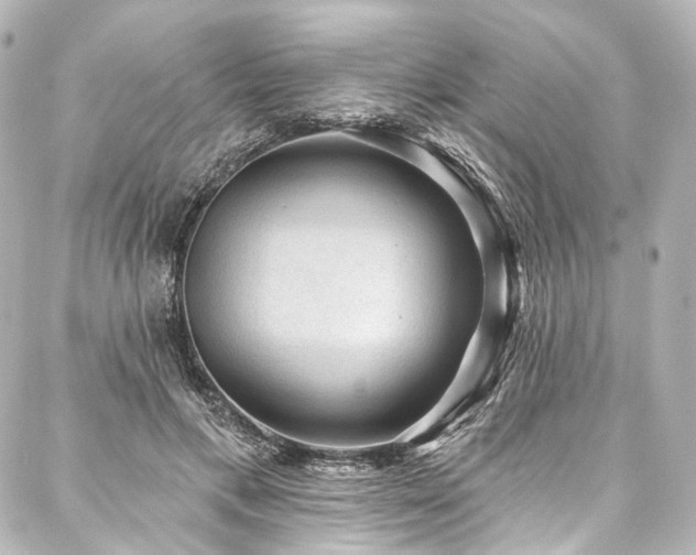 X0000088160597200705151119