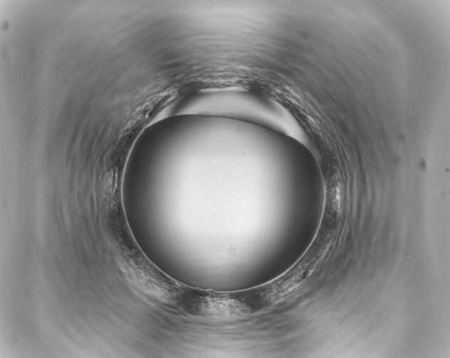 X0000088160605200705151119