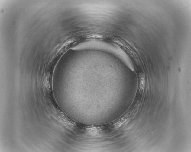 X0000088160616200705151119