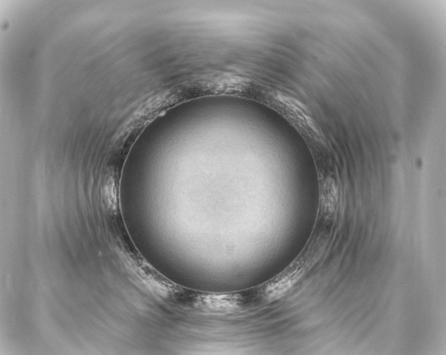 X0000088160622200705151119