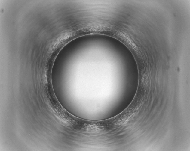 X0000088160635200705151118