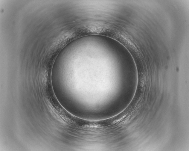 X0000088160639200705151118
