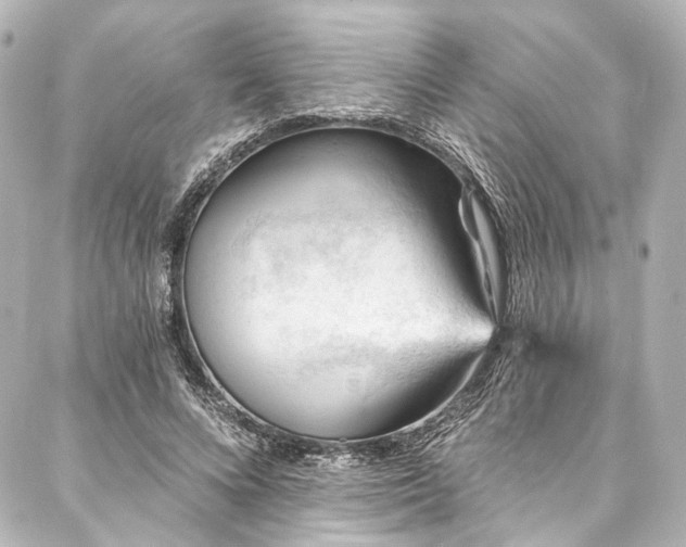 X0000088160688200705151118
