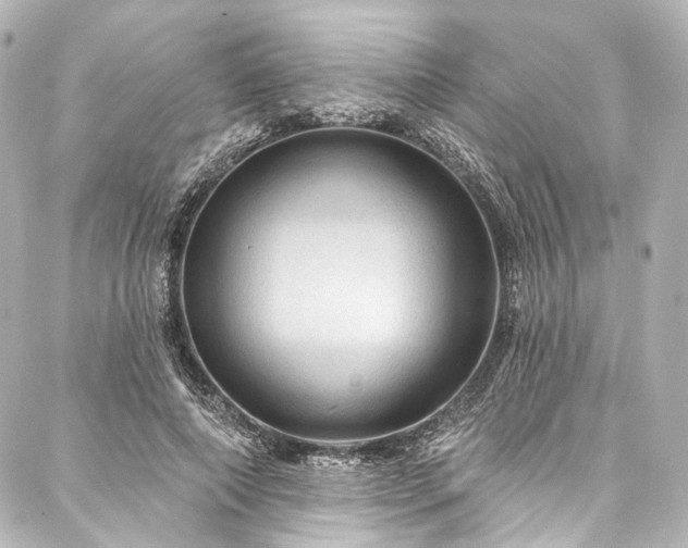 X0000088160690200705151118