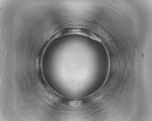 X0000088160700200705151118