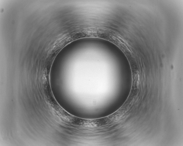 X0000088160702200705151118
