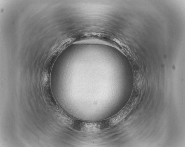 X0000088160709200705151118