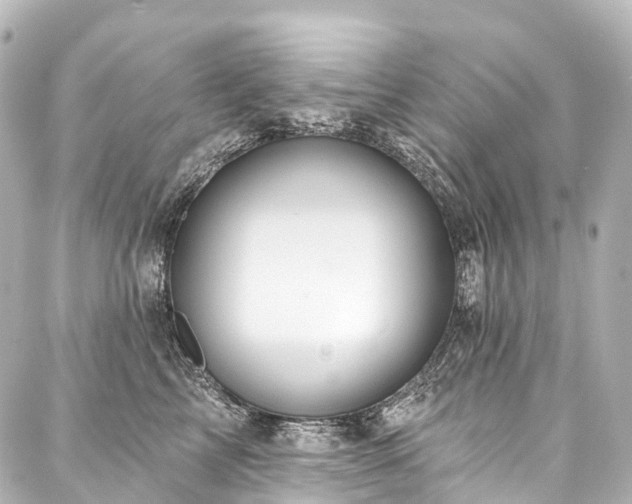 X0000088160713200705151118